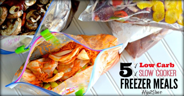 5 Low Carb Recipes for Slow Cooker Freezer Meals discountloot.online