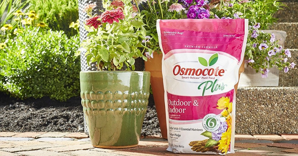 Osmocote Plant Food bag next to a potted plant