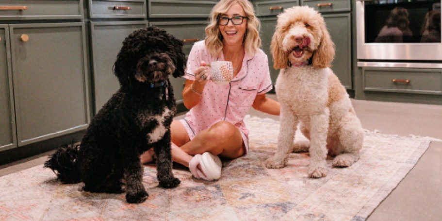 Free ASPCA Pet Safety Pack | Includes Emergency Stickers & Magnet