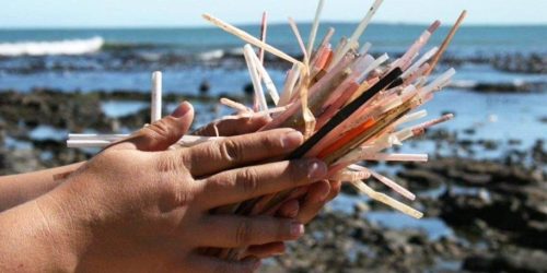 Celebrate Earth Day with 13 Simple Swaps to Use Less Plastic