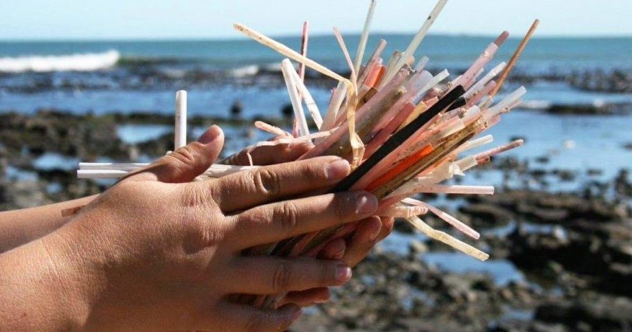 hand holding pile of dirty straw at beach
