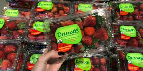 8 HOT Whole Foods Deal Ideas for Amazon Prime Members