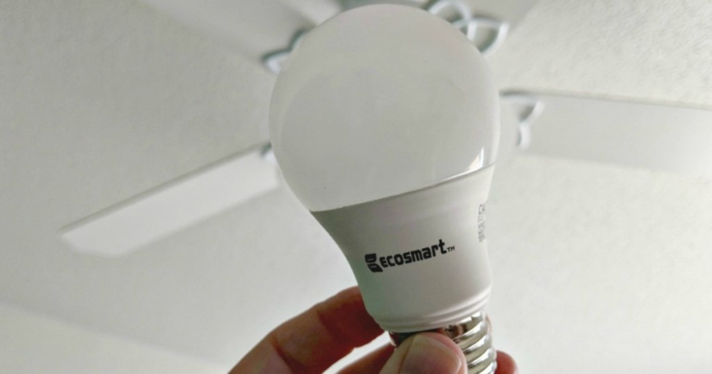 hand holding ecosmart lightbulb