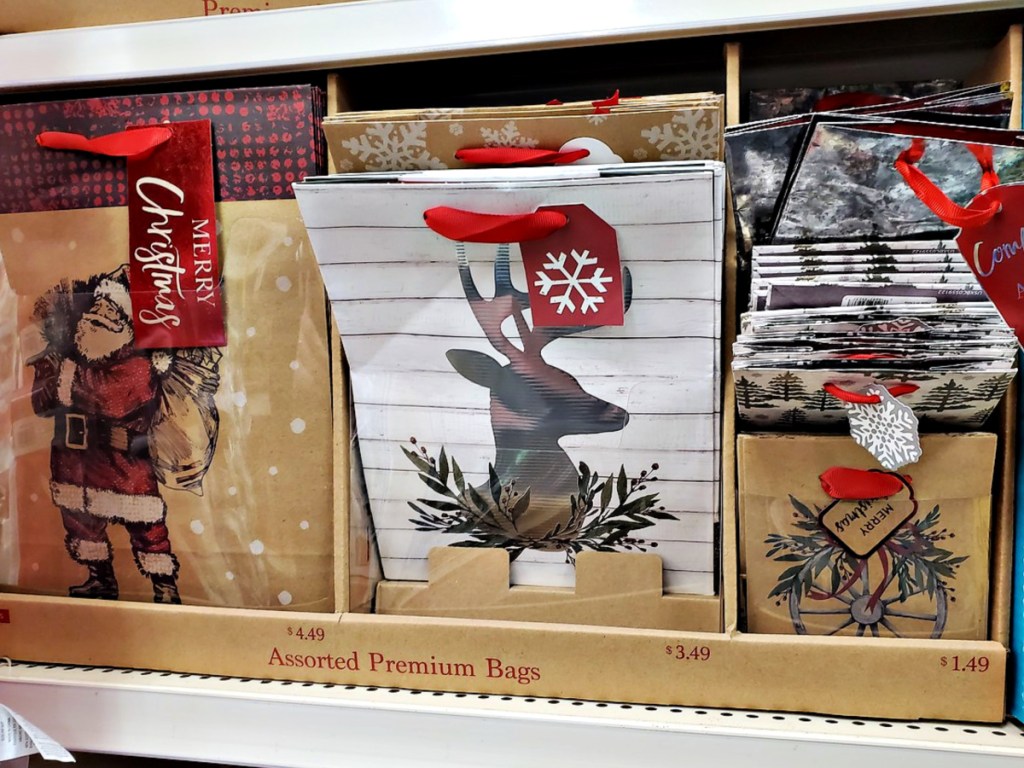 Assorted Premium Gift Bags at CVS