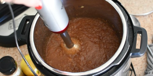 Homemade Applesauce in 5 Minutes Using the Instant Pot
