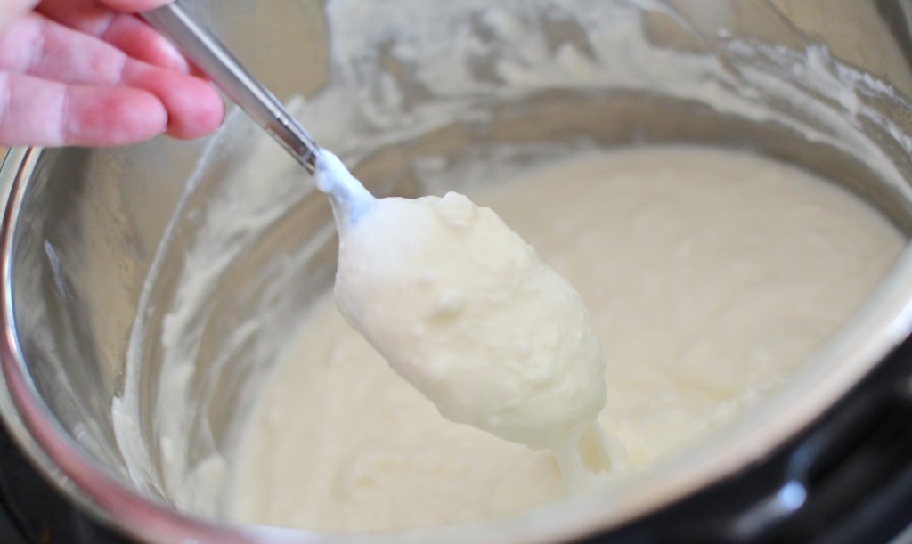 hand holding a silver spoon with white yogurt in bowl 