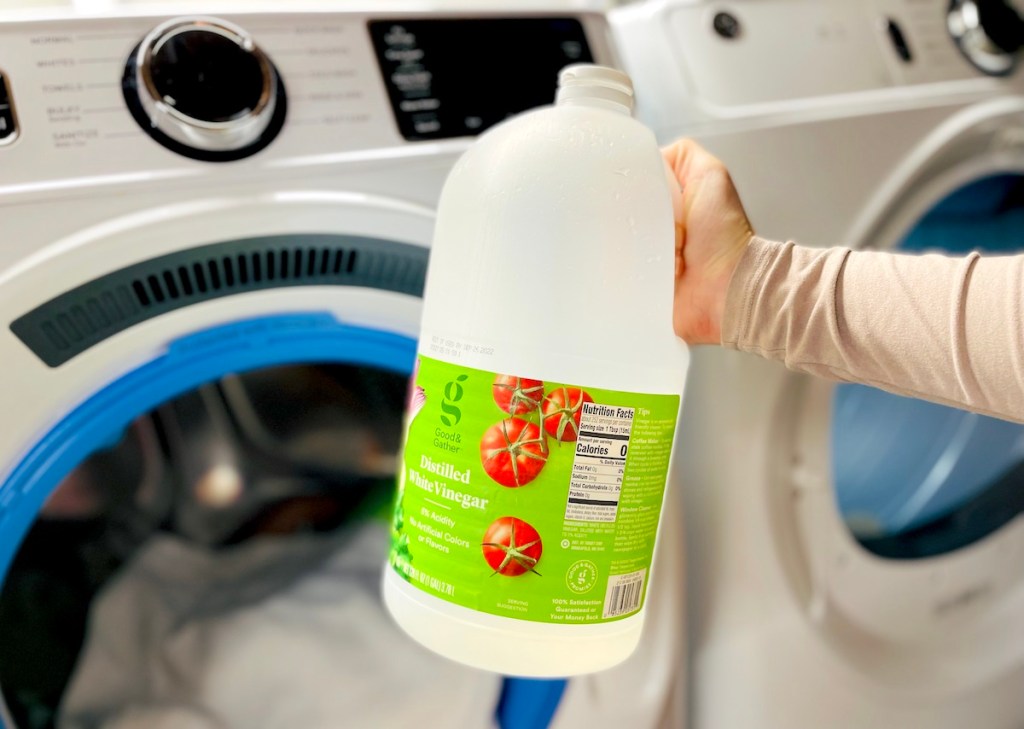 hand holding large jug of white distilled vinegar
