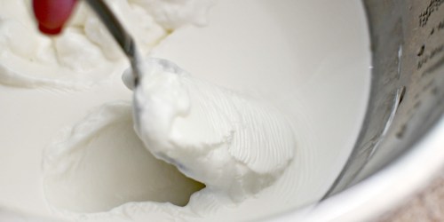 It’s EASY to Make Homemade Yogurt in the Instant Pot (Only 3 Ingredients Needed!)