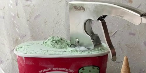 Thrifty Vintage Ice Cream Scoop Only $19.99 on RiteAid.com