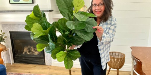 Hobby Lobby’s Faux Plants Look Totally Real (+ They’re 50% Off Right Now!) | See Our Top 10 Picks