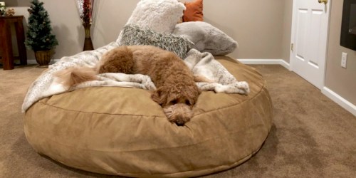 **8 Lovesac Bean Bag Alternatives That Will Save You Hundreds of Dollars!