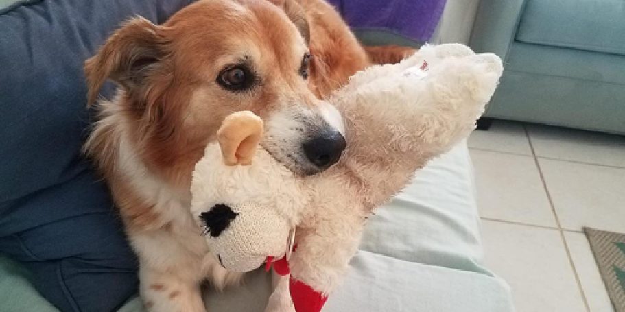 Large Lamb Chop Dog Toy Only $3 Shipped on Amazon (Reg. $7)