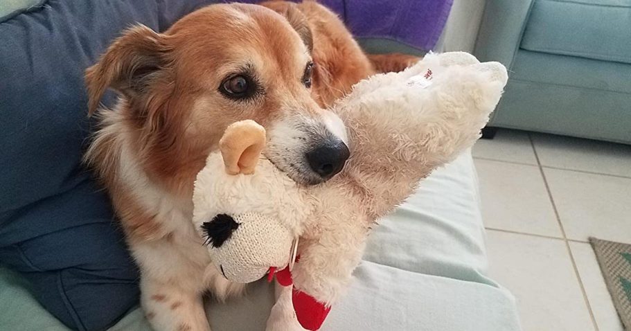 Large Lamb Chop Dog Toy Only $3 Shipped on Amazon (Reg. $7)