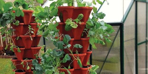 Stackable Planters from $17.99 on Zulily.com | Perfect for Small Spaces