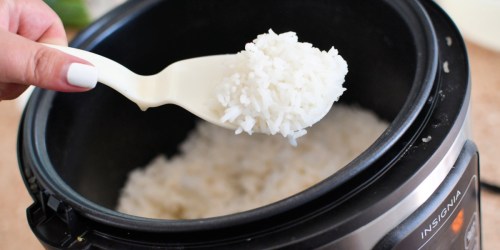 ** Insignia 20-Cup Rice Cooker Just $24.99 on BestBuy.com (Regularly $49) | Team-Favorite