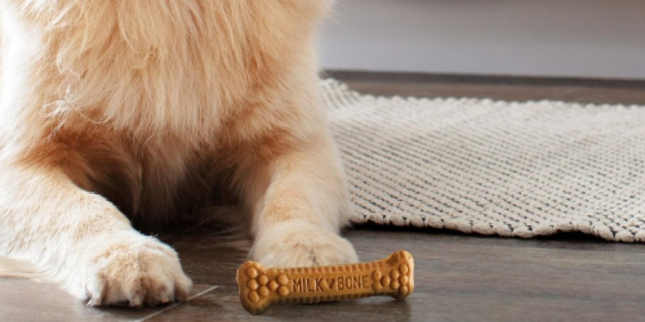 GO! Stack Offers for Cheap Dental Treats on Chewy.com