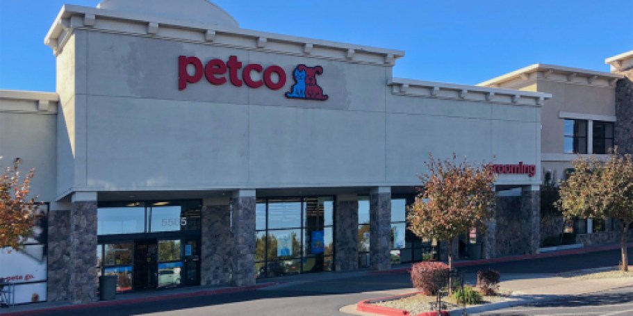 40% Off Petco Dog Leash, Collar, or Harness (Just Bring in Old Ones to Recycle!)