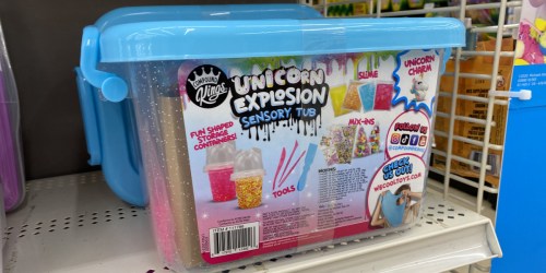 Pre-Made Sensory Bins Just $15.99 at Michaels | Fun Gift Idea