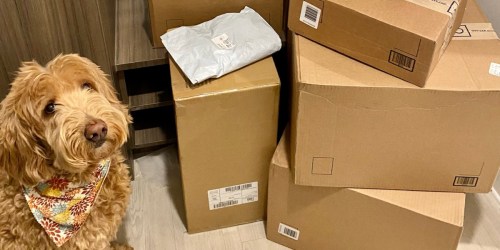 Today Only! FREE QVC Shipping on Any Order + Rare 20% Off Nespresso, Amazon Tablets & More