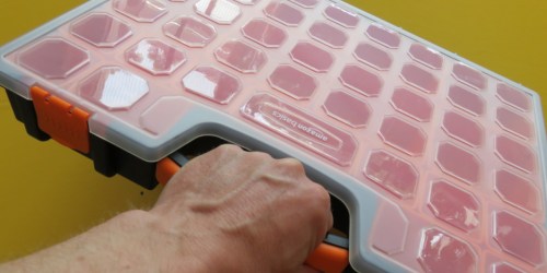 Amazon Basics 15-Compartment Organizer Just $8.72 (Regularly $14)