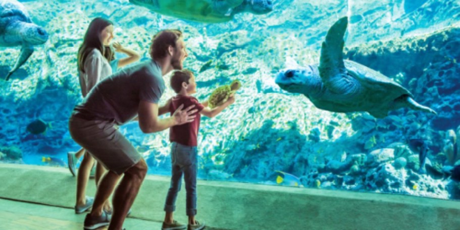 Up to 55% Off SeaWorld Tickets (Includes FREE Dining Options!)