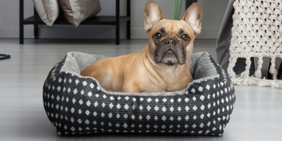 Vibrant Life Pet Beds from $6.97 on Walmart.com