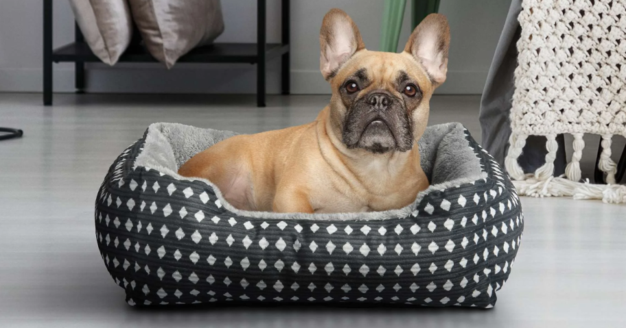 a small dog in a black and white pet bed