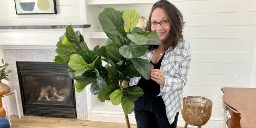 Want Fake Plants That Look Real? Check Out Our Team’s Favorite Faux Finds!