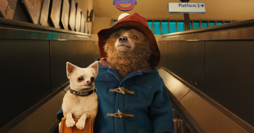 paddington bear on train