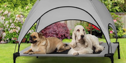 Elevated Dog Cot w/ Canopy $19.97 Shipped for Costco Members (Keep Pets Off Wet/ Snowy Ground)