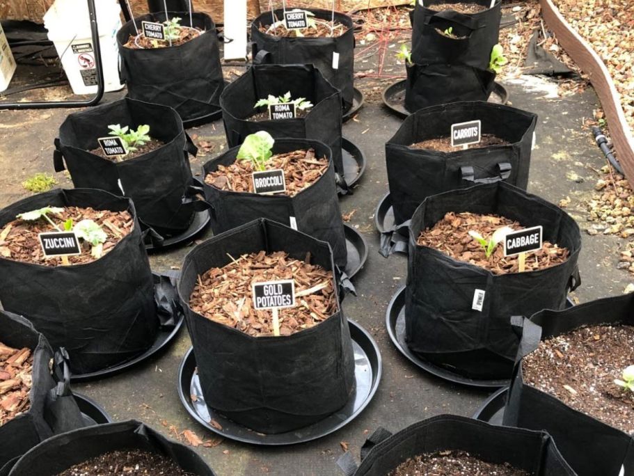 10 Grow Bags Only $14.98 Shipped – Ideal for Patio & Balcony Gardens!