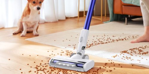 Anker eufy Cordless Vacuum Only $85 Shipped on Walmart.com (Regularly $199)