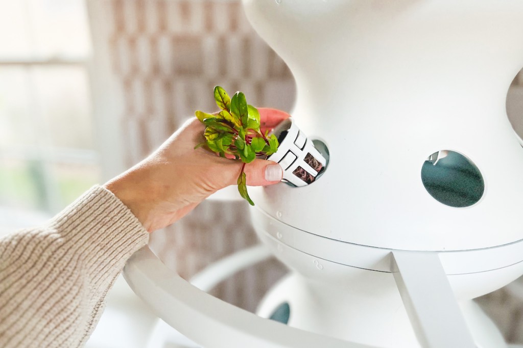 hand putting seedling pod into hole of hydroponic garden