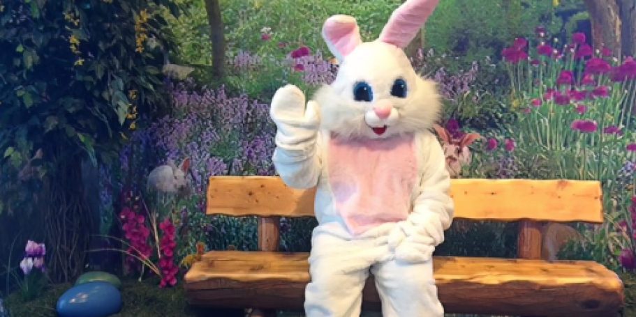FREE Easter Bunny Photo at Cabela’s & Bass Pro Shops (+ FREE Easter Egg w/ Prize!)