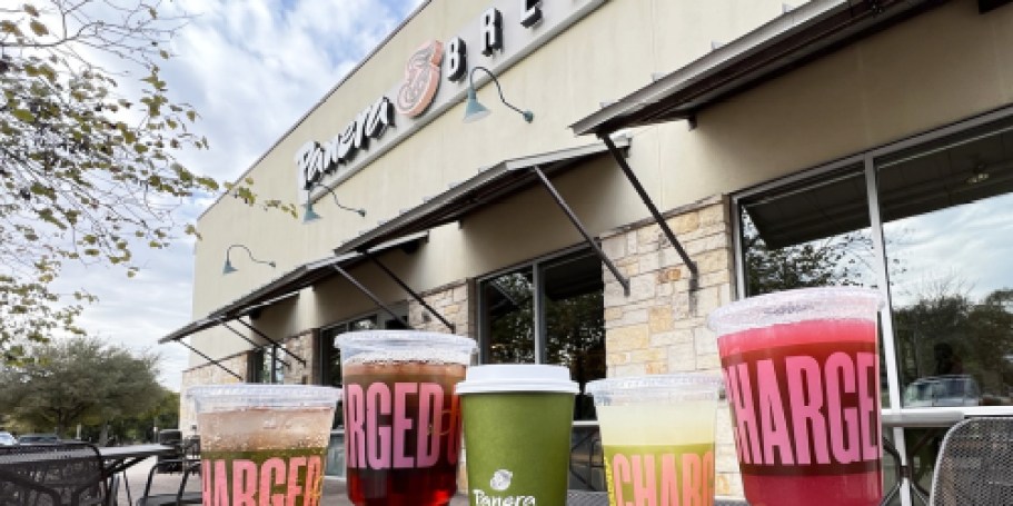 FREE Unlimited Panera Drinks & Coffee for TWO Months – Today ONLY