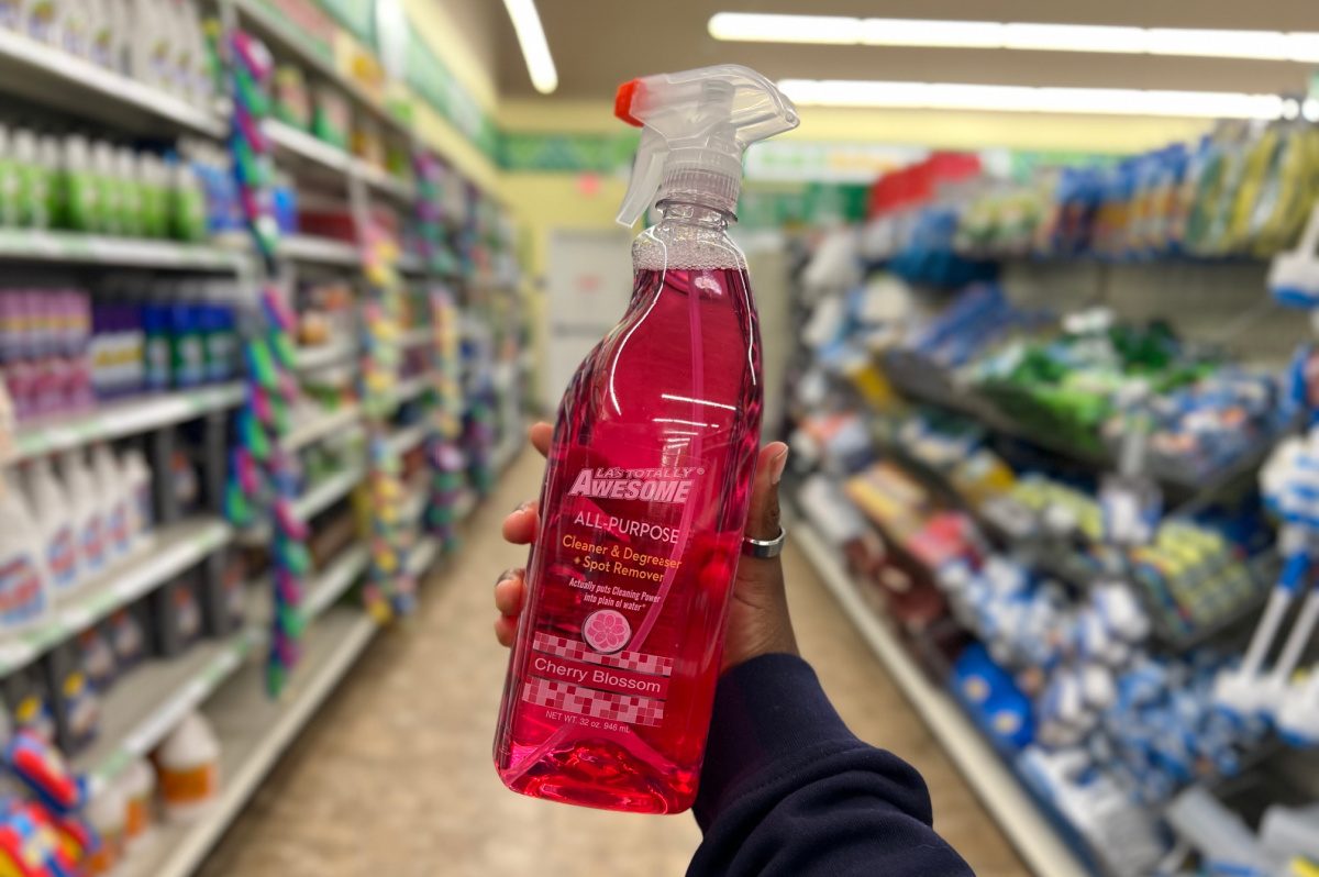 Hand holding up a bottle of LA's Totally Awesome All Purpose Cleaner In Cherry Blossom