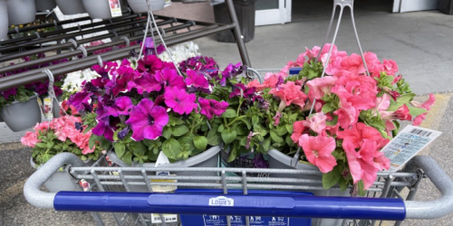 Lowe’s Memorial Day Sale Live Now | Score Hanging Plants, Mulch, Soil, & More
