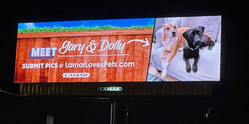 Feature Your Pets for FREE on Billboard Near You ($45 Value)