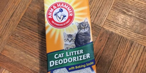 Arm & Hammer Cat Litter Deodorizer Only $2.38 Shipped on Amazon (Reg. $7)