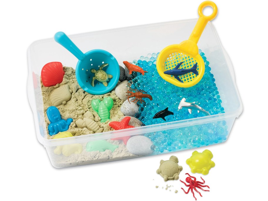 ocean themed sensory bin