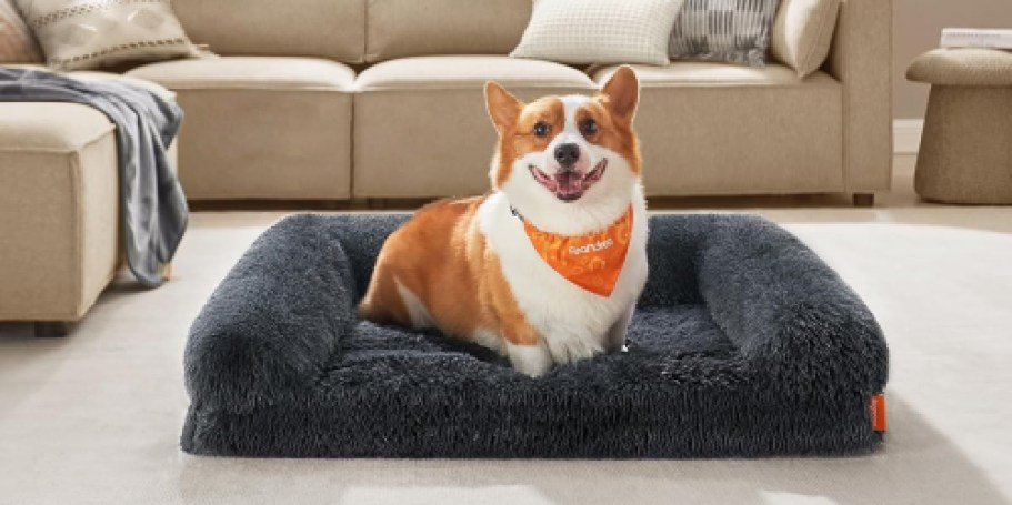Orthopedic Dog Bed Only $19.99 on Amazon (Reg. $35)