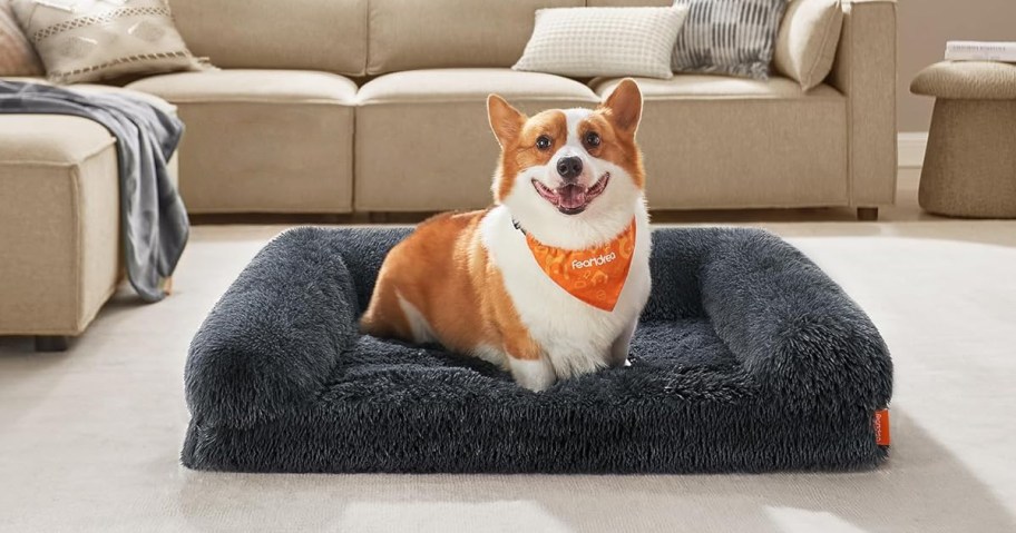 Corgi dog sitting on a grey dog bed in a living room