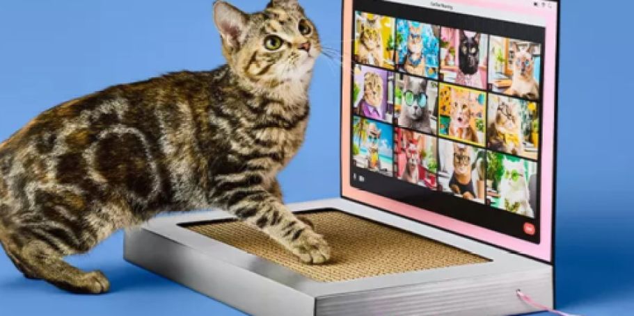 *NEW* Target Cat Scratchers from $9.99