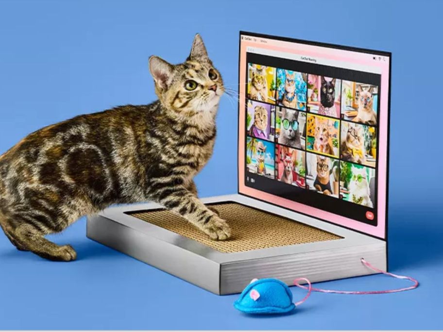 A cat enjoying a scratching laptop toy