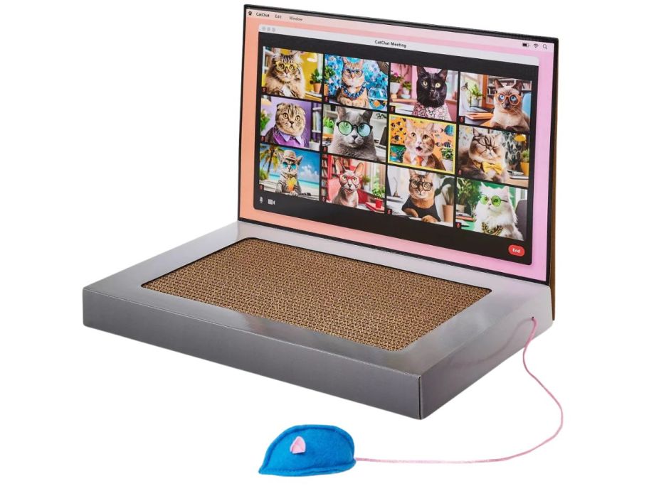A cat scratch laptop 