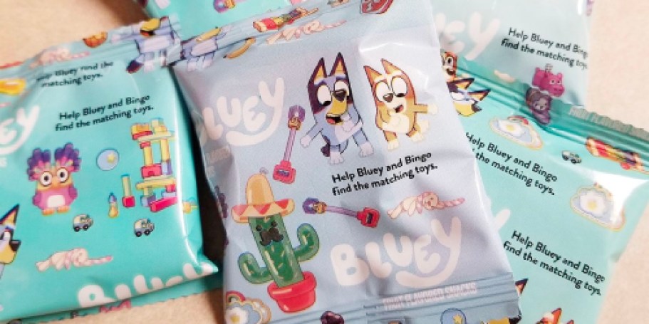 Bluey Fruit Snacks 22-Count Box Only $2.93 Shipped on Amazon