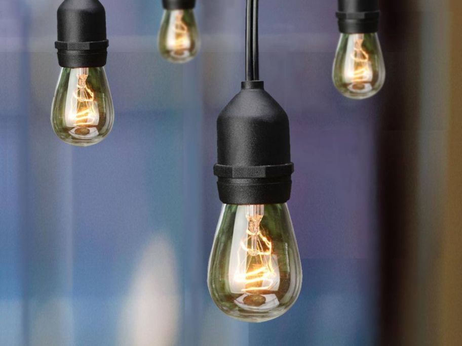 Hampton Bay IndoorOutdoor Incandescent Edison String Lights