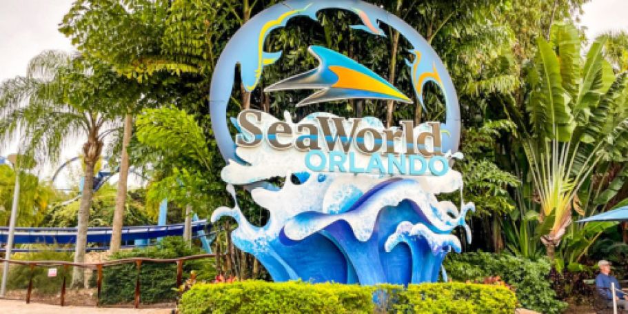 FREE SeaWorld Unlimited Admission Pass for Teachers