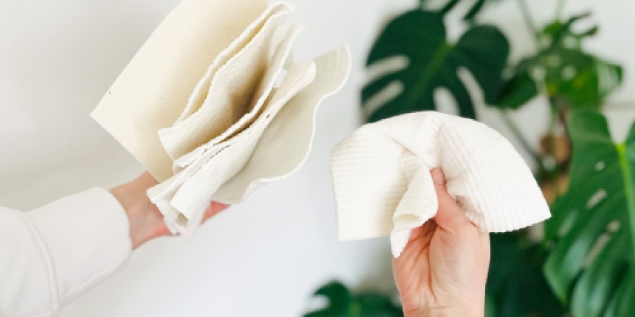 Best Plastic-Free Deals | Owala, Swedish Dishcloths & More!