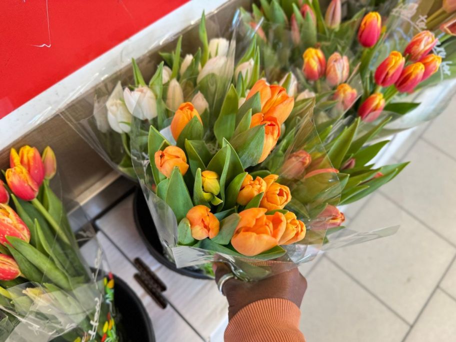 fresh tulip bunch in hand in store